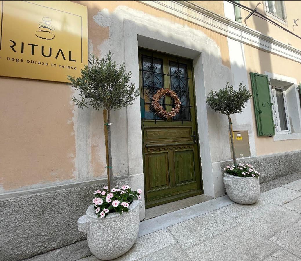 Ritual Apartman Ajdovščina Kültér fotó